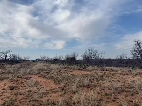 01 Fm 2319, Colorado City, TX 79512