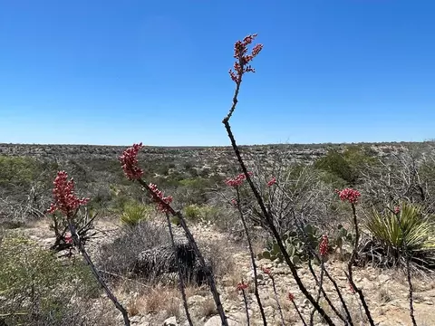 tbd Hwy 349, Sheffield, TX 79848