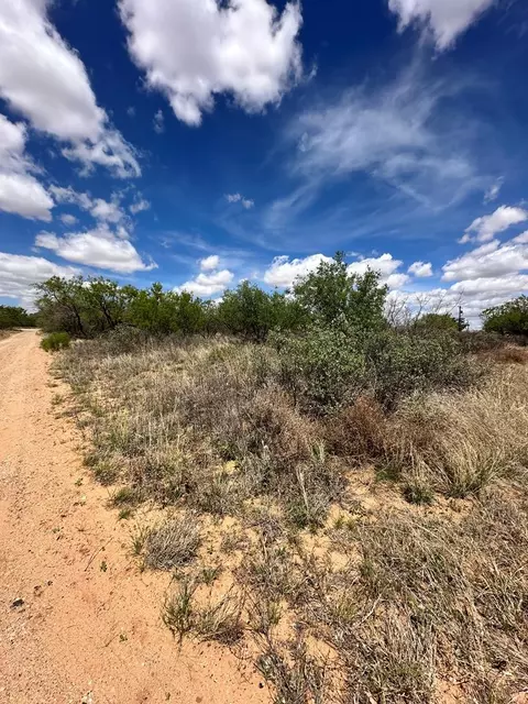 0 Hidalgo Ave, Colorado City, TX 79512