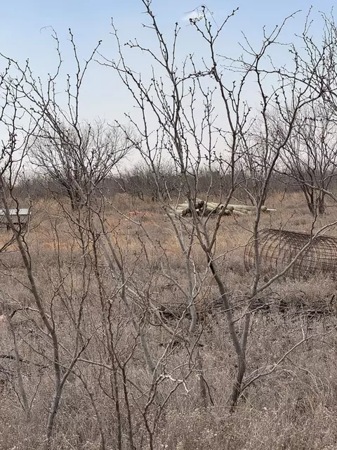 0000 S Fm 461, Big Spring, TX 79720