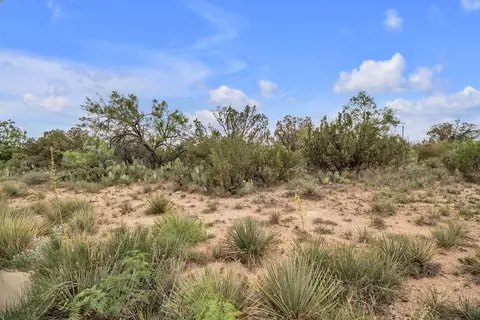 1900 Wasson Dr, Big Spring, TX 79720 photo 5