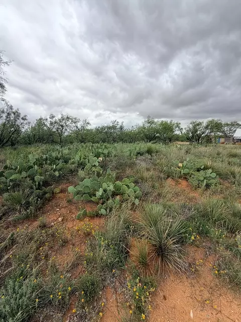 0 White Rd, Loraine, TX 79532