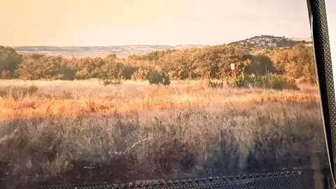 5416 Cr 102, Ozona, TX 76943