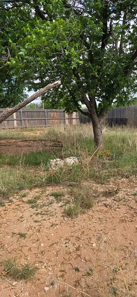 2002 Morrison Dr, Big Spring, TX 79720 photo 6