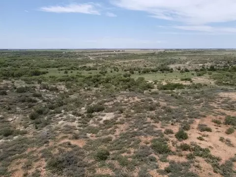 02 Fm 2319, Colorado City, TX 79512