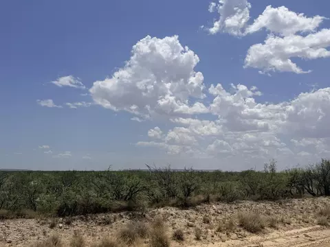 tbd Buena Vista Rd #55.815 ACRES, Fort Stockton, TX 79735