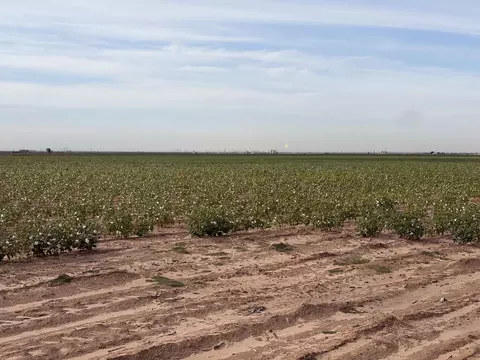 3500 County Rd C 3500, Stanton, TX 79782