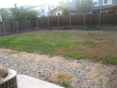 825 Cobalt Ct, Tracy, CA 95377 photo 8