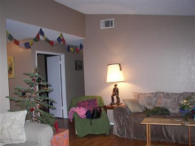330 Miles Ct, Turlock, CA 95382 photo 5