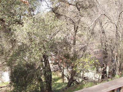 865 Green St, Placerville, CA 95667 photo 6