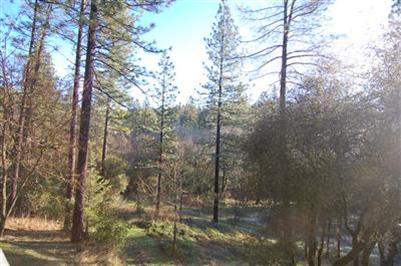 12655 Little Deer Creek Ln, Nevada City, CA 95959 photo 8