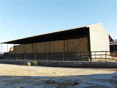 10300 Dillard Rd, Wilton, CA 95693 photo 4