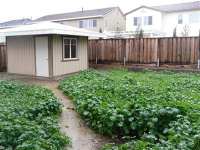 1510 Azalea Dr, Patterson, CA 95363 photo 12