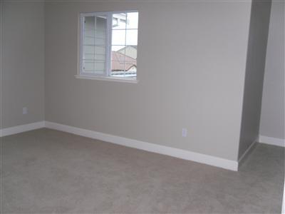 1510 Azalea Dr, Patterson, CA 95363 photo 10
