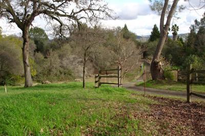 1520 Taylor Rd, Penryn, CA 95663 photo 11