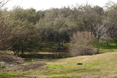 1520 Taylor Rd, Penryn, CA 95663 photo 12