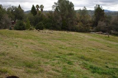1520 Taylor Rd, Penryn, CA 95663 photo 9