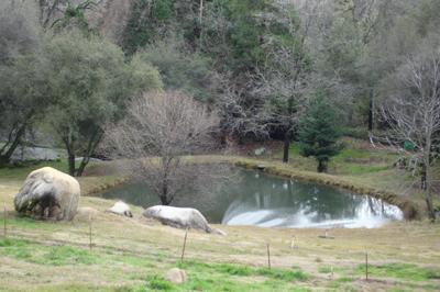 1520 Taylor Rd, Penryn, CA 95663 photo 2