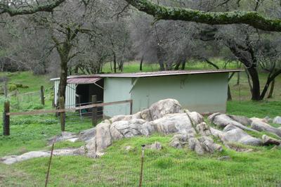 1520 Taylor Rd, Penryn, CA 95663 photo 7