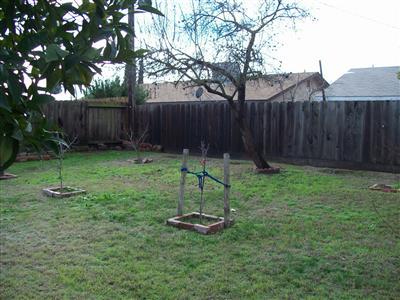 409 Elm Ave, Manteca, CA 95336 photo 8