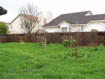 1633 Via Milano, Gustine, CA 95322 photo 8