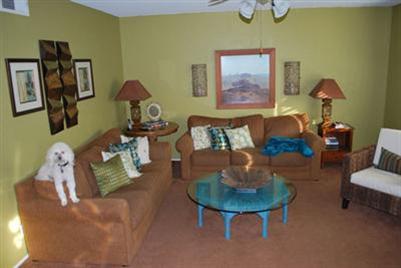 927 Van Ct, Ripon, CA 95366 photo 2