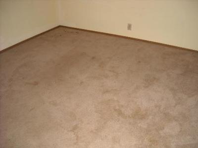 516 Finster St, Patterson, CA 95363 photo 7