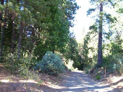28323 Foresthill Rd, Foresthill, CA 95631 photo 1