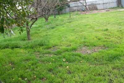 710 High St, Turlock, CA 95380 photo 3