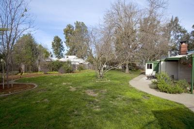 2115 Catalina Dr, Davis, CA 95616 photo 5