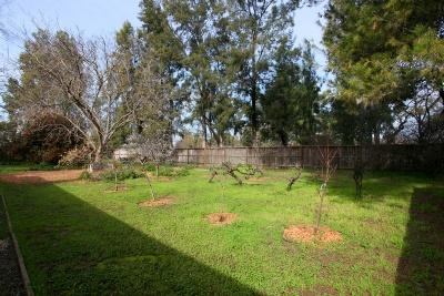 2115 Catalina Dr, Davis, CA 95616 photo 6