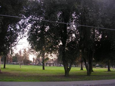 718 W Morris Ave, Modesto, CA 95354 photo 12