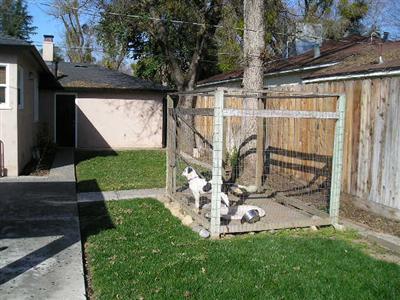 1418 Haddon Ave, Modesto, CA 95354 photo 12