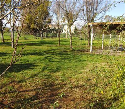11190 Wilton Rd, Wilton, CA 95693 photo 6