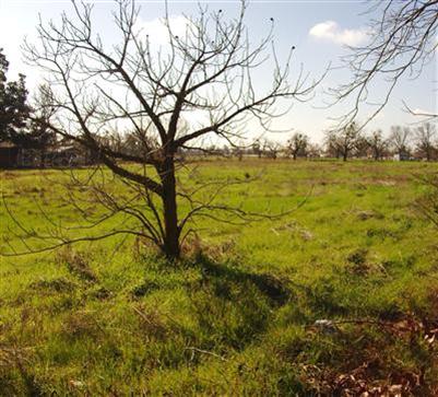 11190 Wilton Rd, Wilton, CA 95693 photo 4
