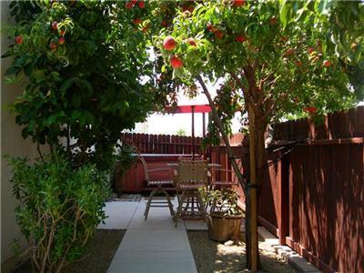 1927 Nehemiah Dr, Manteca, CA 95336 photo 9
