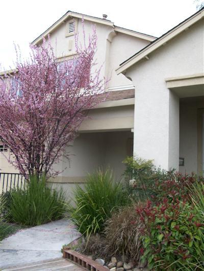 3364 Montego Ave, Stockton, CA 95205 photo 1