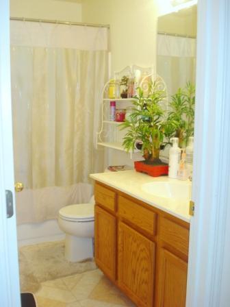 621 Carnelian St, Lathrop, CA 95330 photo 7