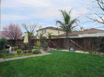 1415 Crystal Grove Ln, Davis, CA 95616 photo 11