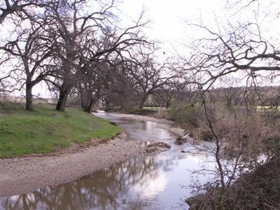 19020 Hwy 36 W, Red Bluff, CA 96080 photo 2