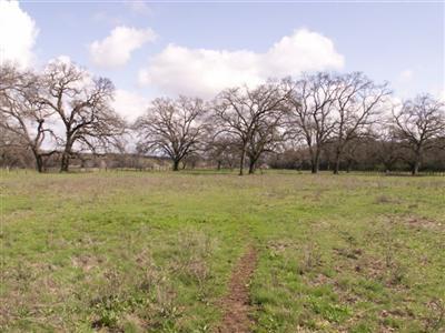19020 Hwy 36 W, Red Bluff, CA 96080 photo 6