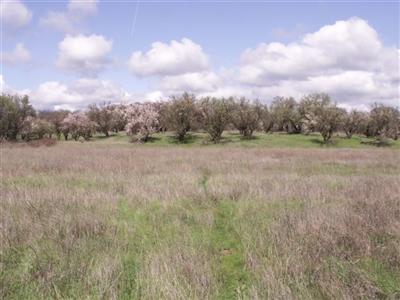 19020 Hwy 36 W, Red Bluff, CA 96080 photo 7