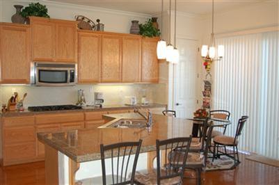 16210 Sheltered Cv, Lathrop, CA 95330 photo 7