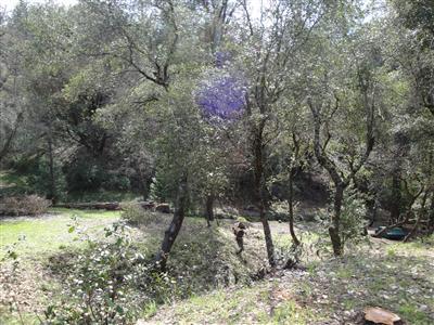 3446 Cedar Ravine Rd, Placerville, CA 95667 photo 12