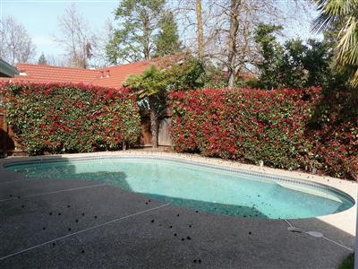 3205 Lakeshore Ct, Modesto, CA 95355 photo 12