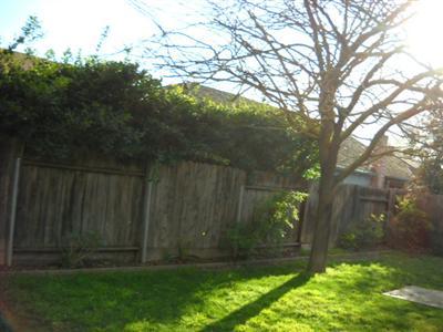 3704 Merrifield Ave, Modesto, CA 95356 photo 9