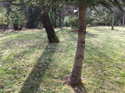 16486 Cooper Rd, Nevada City, CA 95959 photo 7