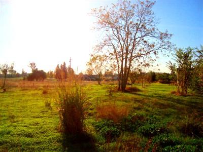 9707 La Clair Rd, Wilton, CA 95693 photo 11