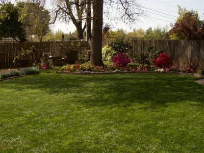 1353 Mcclaren Dr, Carmichael, CA 95608 photo 4