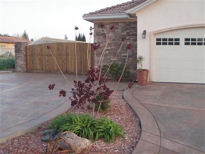 990 Cypress Point Dr, Ripon, CA 95366 photo 3